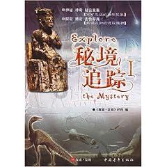 紫色魔法师守城中文版