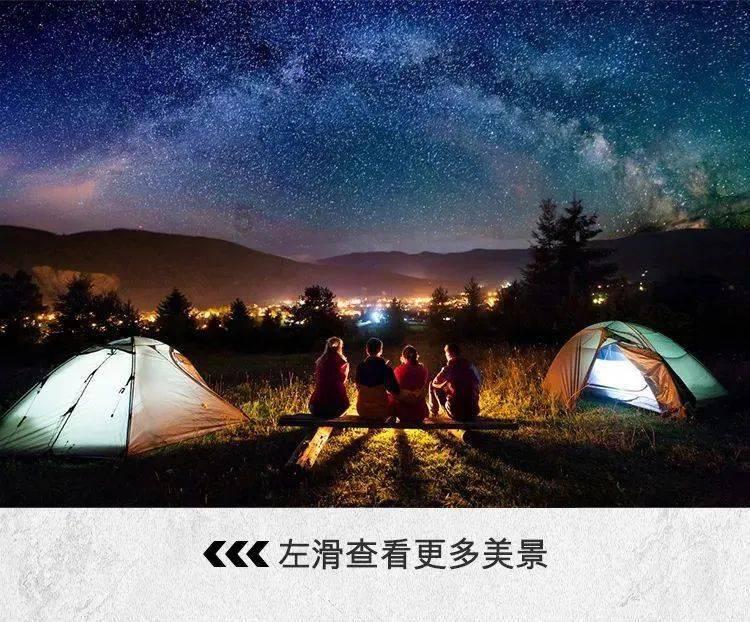 逗小猴开心系列174