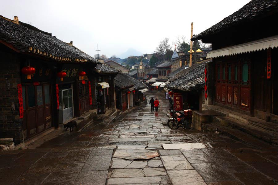 呆萌动物园