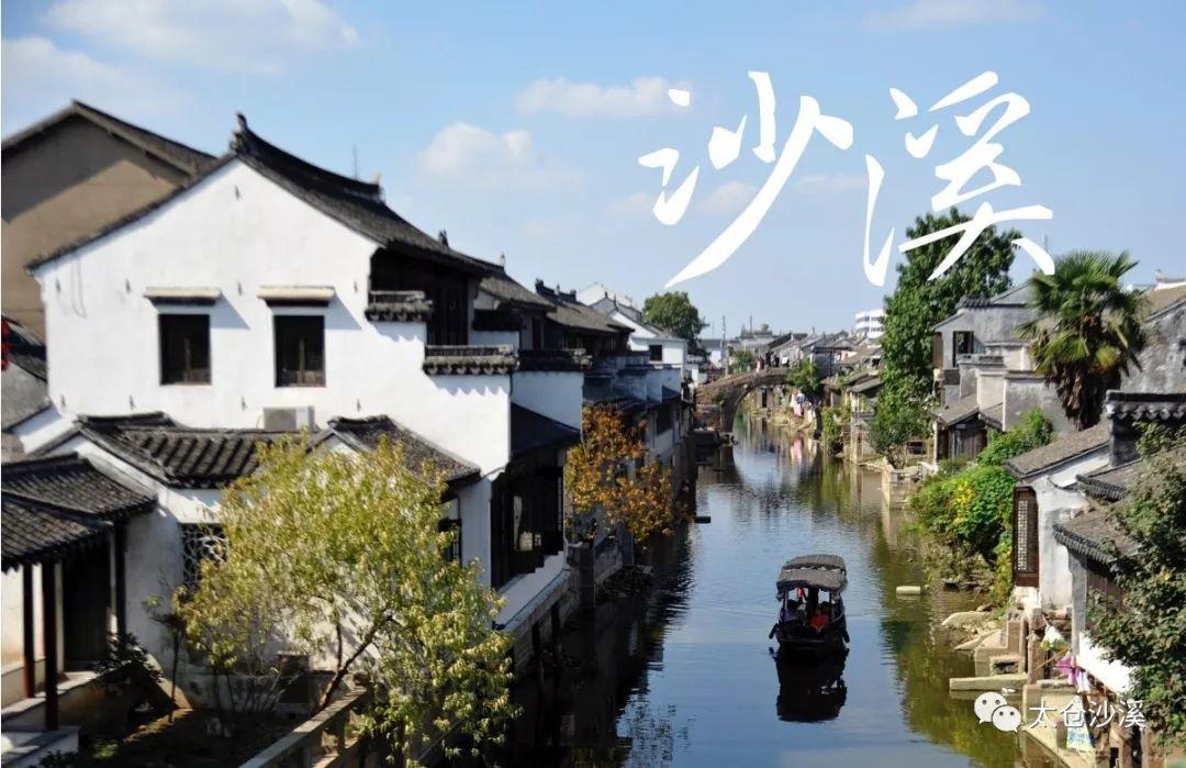 美人鱼的聚会